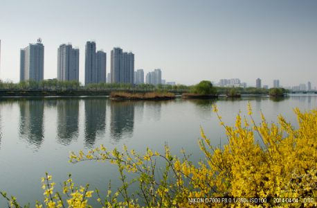 清明踏青滨河公园-风光 D7000 18-105