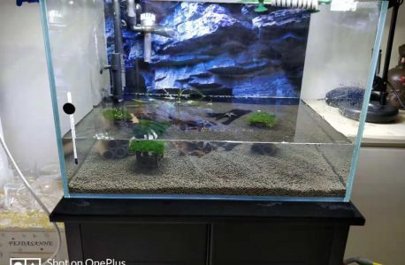 翻缸第一天，铺泥、种草、接过滤、注水。