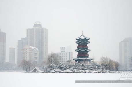 2020年的第一场雪-迎泽公园