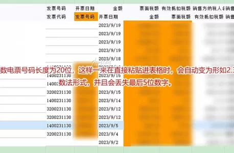 数电票时代完美解决超长数字复制粘贴到Excel表格时自动变成科学计数法的问题——曲线救国，解决超常数值粘贴进表格就出错的小疑难