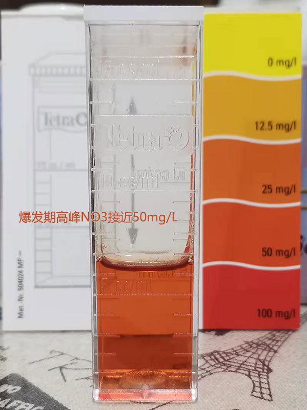 爆发期的NO3峰值